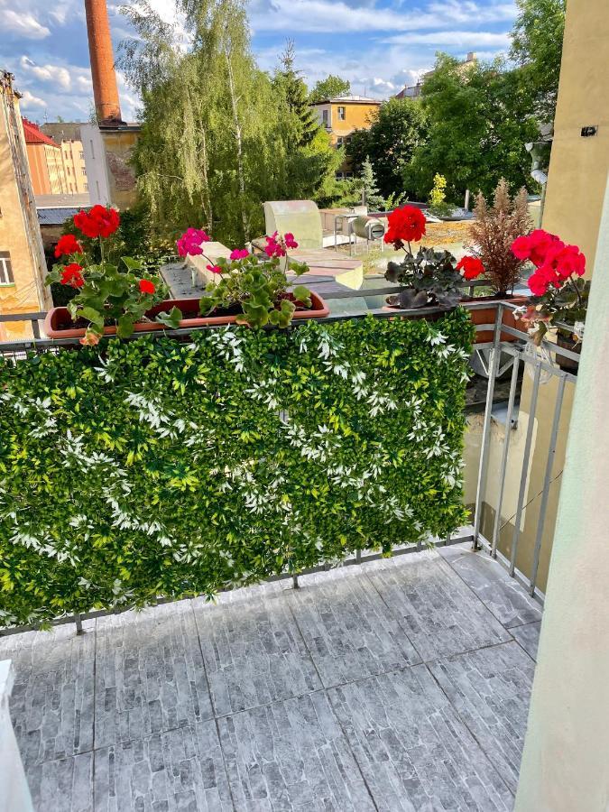 Pension Majovka เคบ ภายนอก รูปภาพ